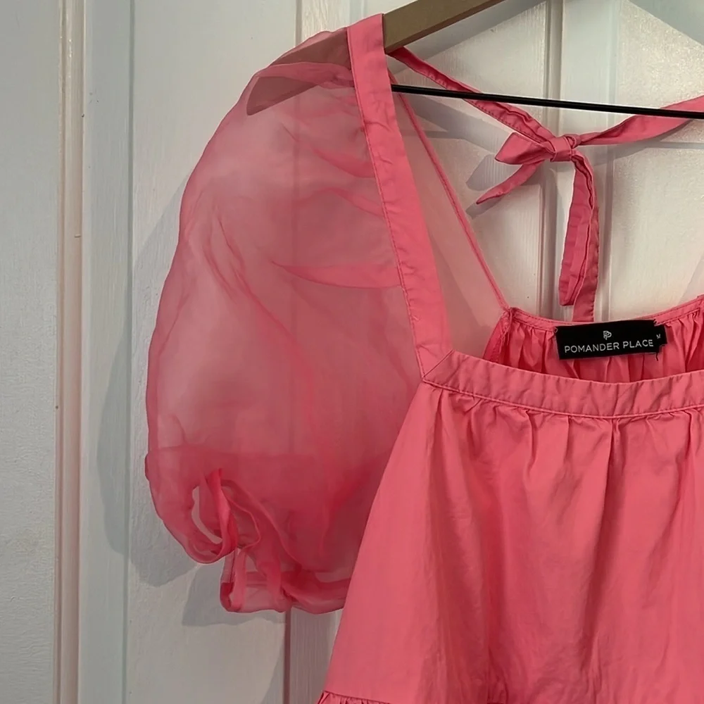 Tuckernuck X Pomander Place | Pink Tinsley Sheer‎ Puff Sleeve Top Size Medium